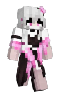 Front of LetMeSeeYourCat's skin