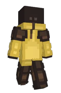 Front of finoogy's skin