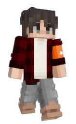 Slim Minecraft skin