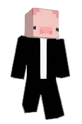 Irvinspider54