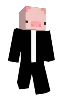 Irvinspider54's Minecraft skin