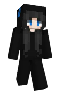 dominvis's Minecraft skin