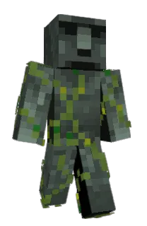 Front of Tance's skin
