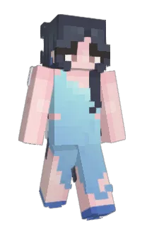 Front of borgsme's skin