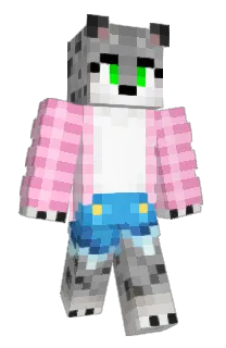 Front of LintWave's skin