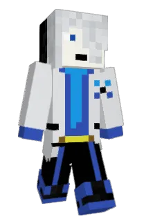 vm1243's Minecraft skin
