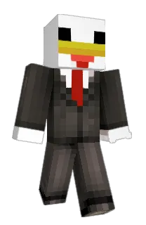 Front of Twizip's skin
