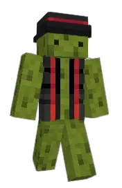 Skin preview