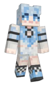 Skin preview