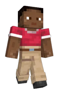 Front of packo0101's skin
