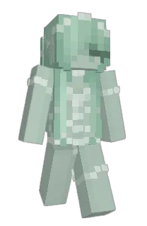 Front of nullity_'s skin