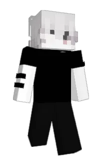 Front of Pingwin47's skin