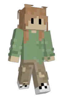Front of JandGesture's skin