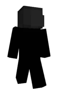 Front of WebNX's skin