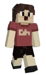 Slim Minecraft skin