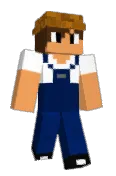 farmeur64