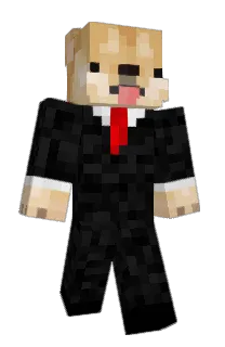 Front of Minecraft skin