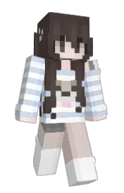 Skin preview