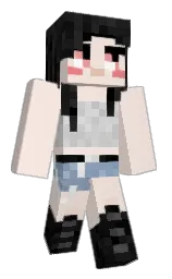 Classic Minecraft skin