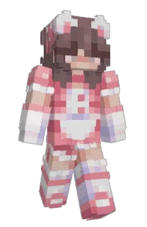 Front of iNuggs's skin