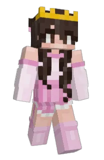 Front of Pauggg's skin