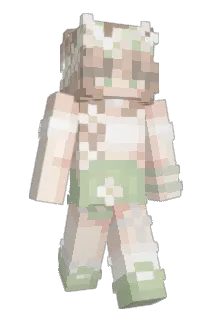 bdonnnn Minecraft avatar full body