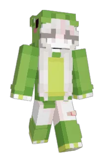 bdr804662 Minecraft avatar full body