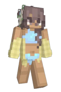 bdzmp Minecraft avatar full body