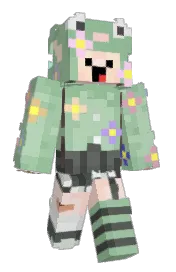 Skin preview
