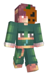 Front of Frim1's skin