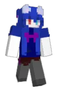 Robitexture