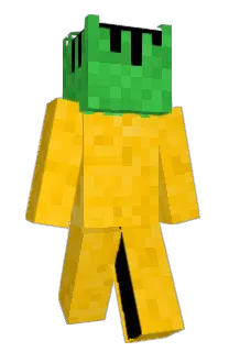 Front of nappleninja's skin