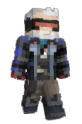 Dwertzy