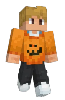 SolidarityGaming's Minecraft skin