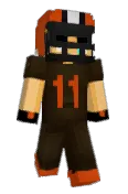 Panicam1