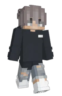 Front of oDissc's skin