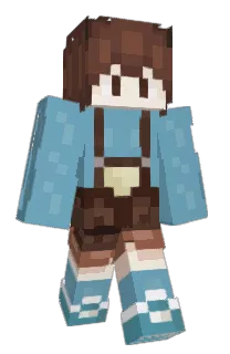 Front of enviousky's skin