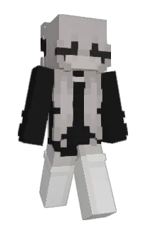 Front of 295's skin