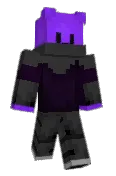 Swinxx