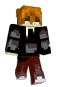 Nevelcon