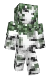 Skin preview