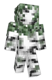 Front of Dillo4K's skin
