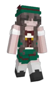 Skin preview