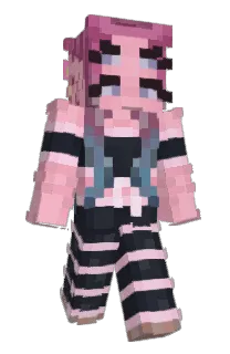 Front of SleekAuster's skin