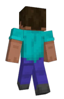 Front of 9720's skin