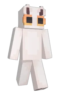 Front of acvhi's skin
