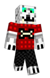 Skin preview