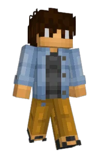 Front of plctoo's skin