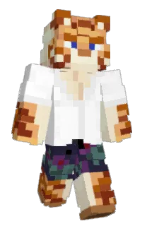tommorerow's Minecraft skin