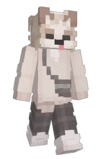 Front of geckopuffs's skin